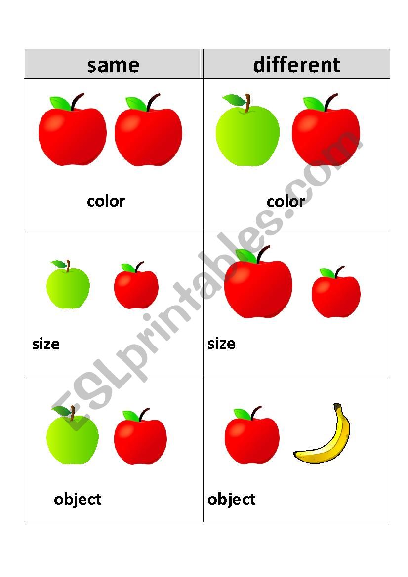 Same and Different Anchor Chart - ESL worksheet by nelson.teach