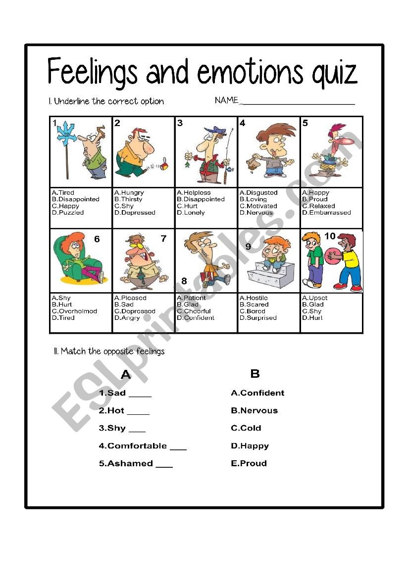 FEELINGS AND EMOTIONS QUIZ worksheet