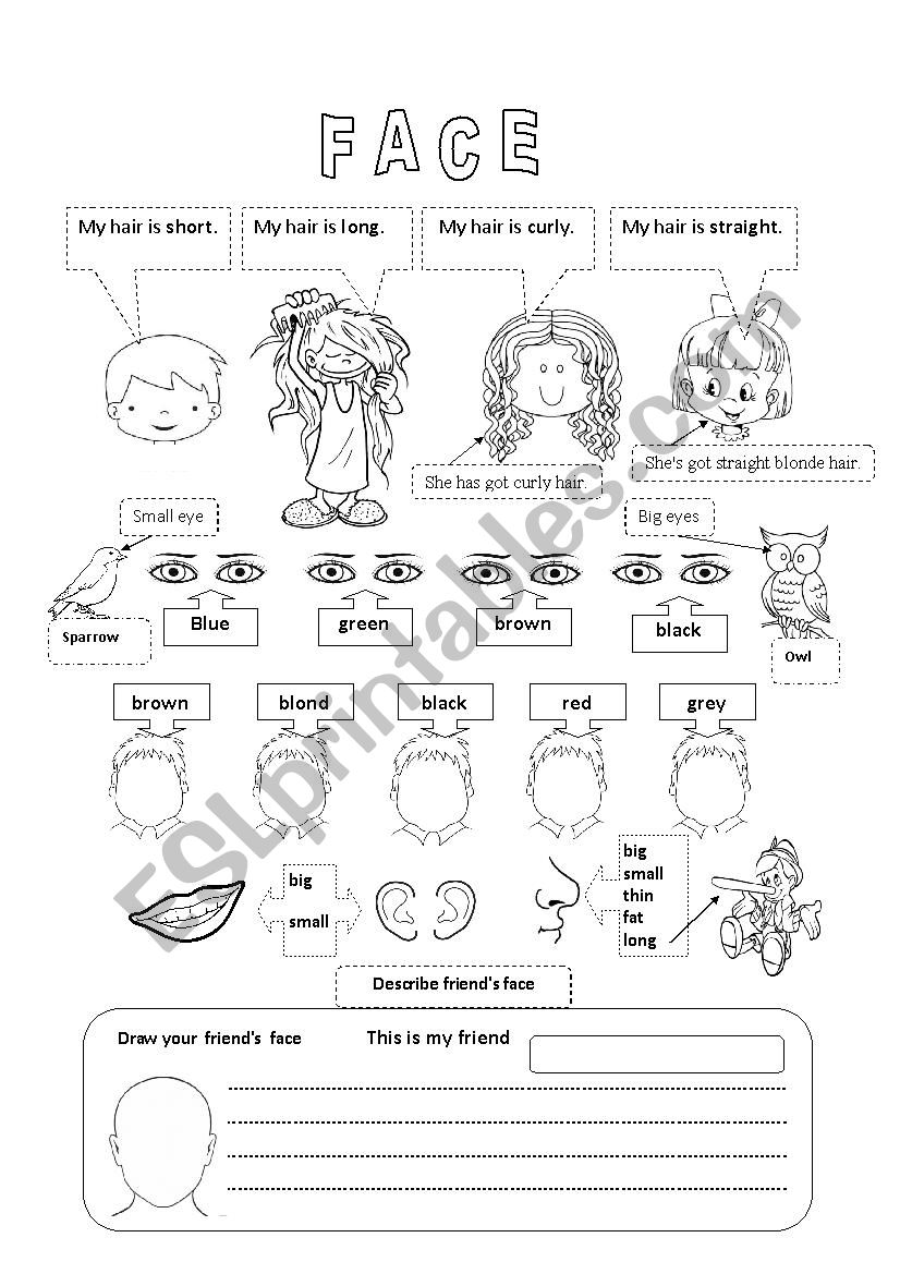 FACE worksheet