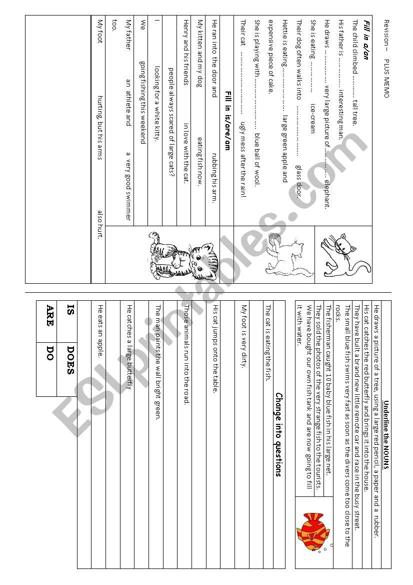 Basic Language revision worksheet