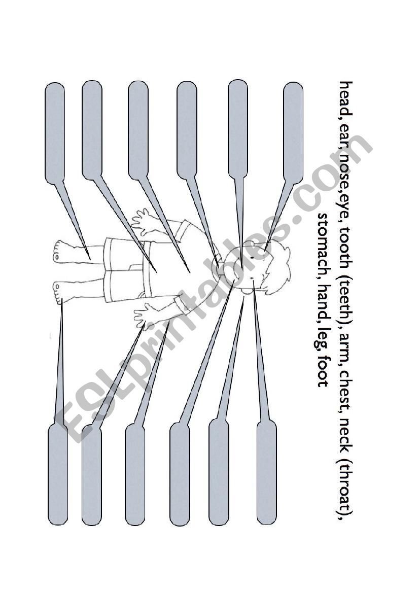 Body Parts worksheet