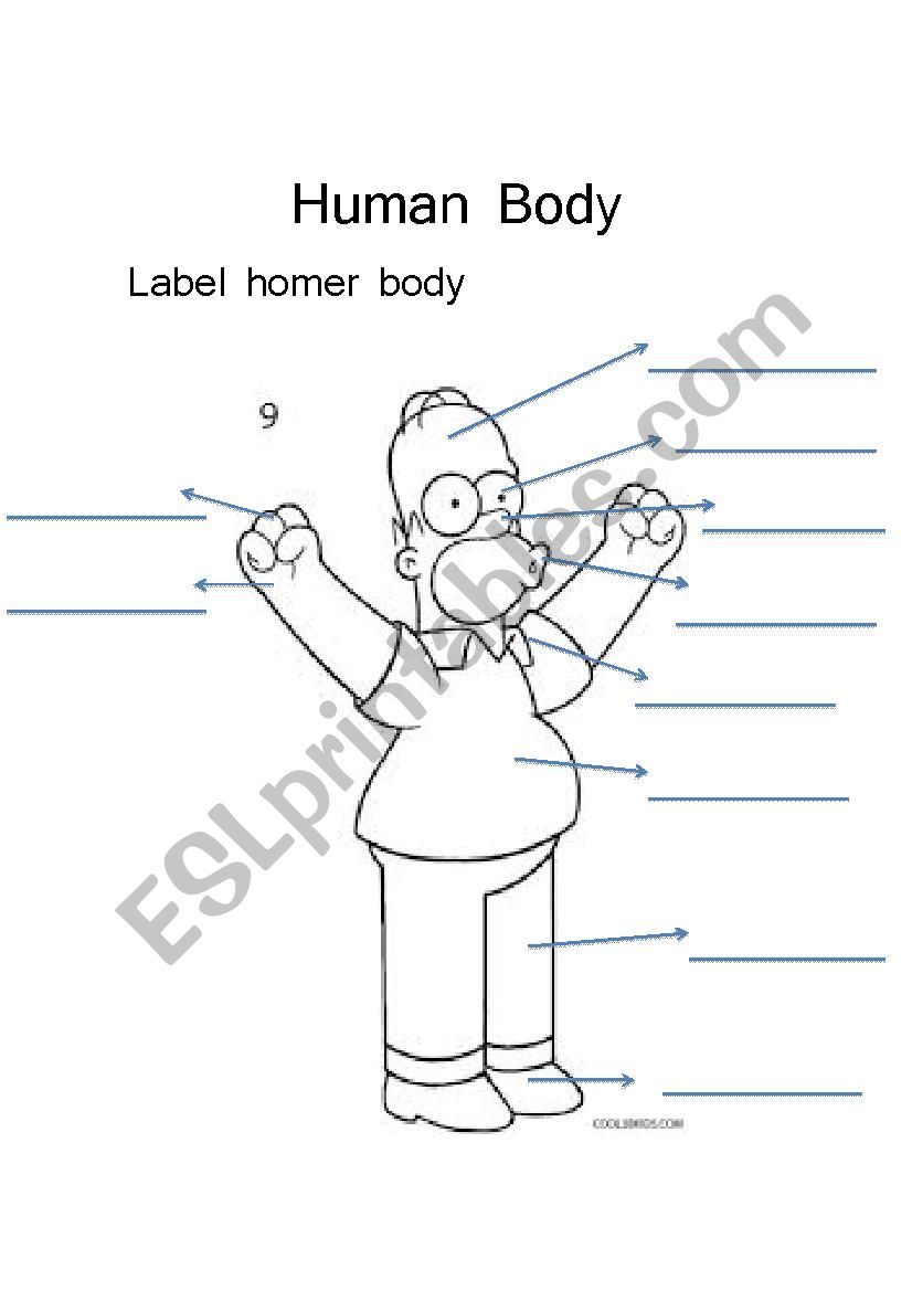 Human Body to label worksheet