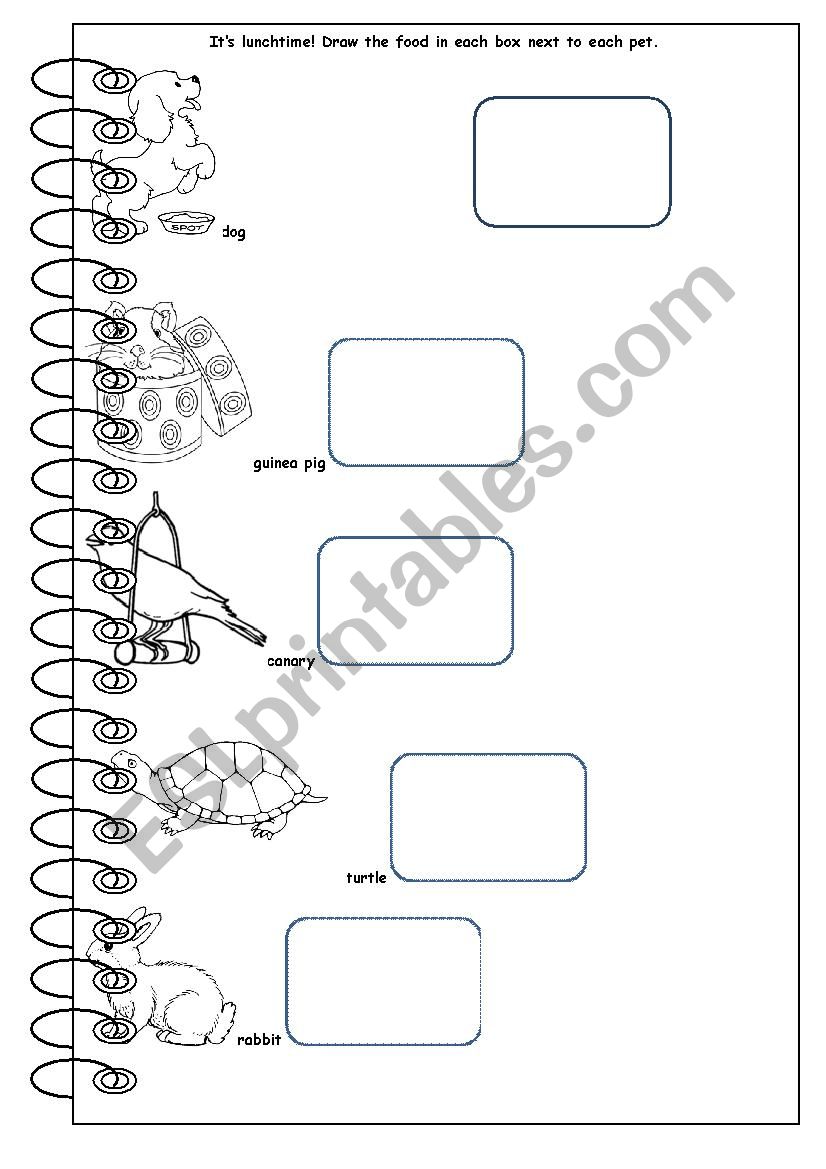 Pets worksheet
