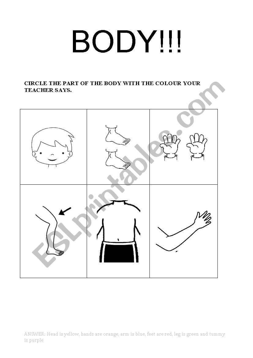 Body worksheet