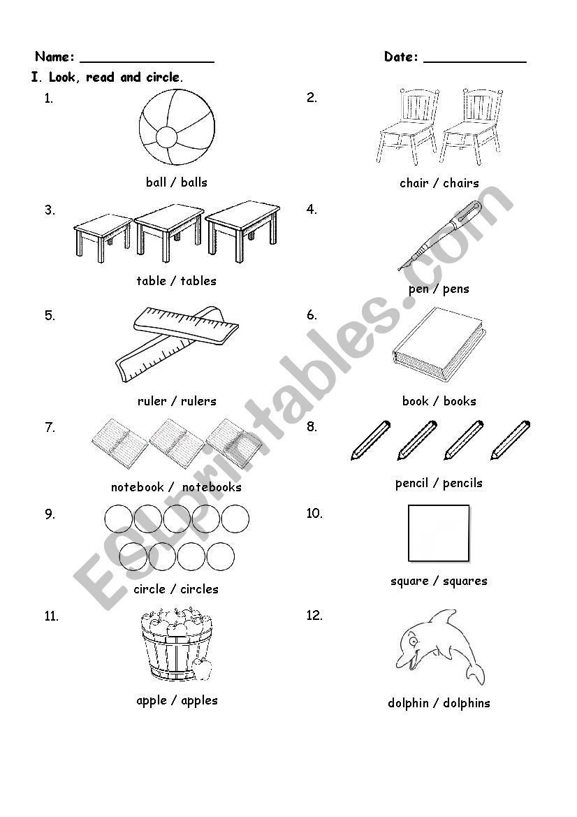 plural nouns worksheet