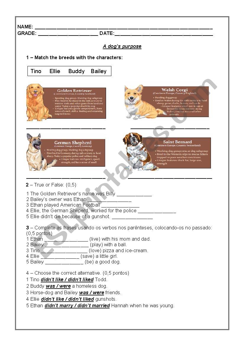 A dogs purpose movie worksheet