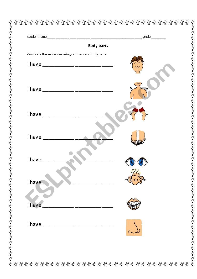 BODY PARTS worksheet