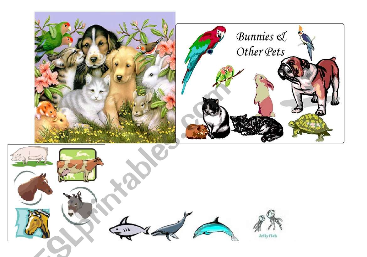 animals worksheet