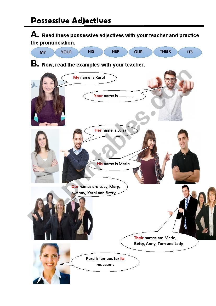 Pessessive Adjectives worksheet