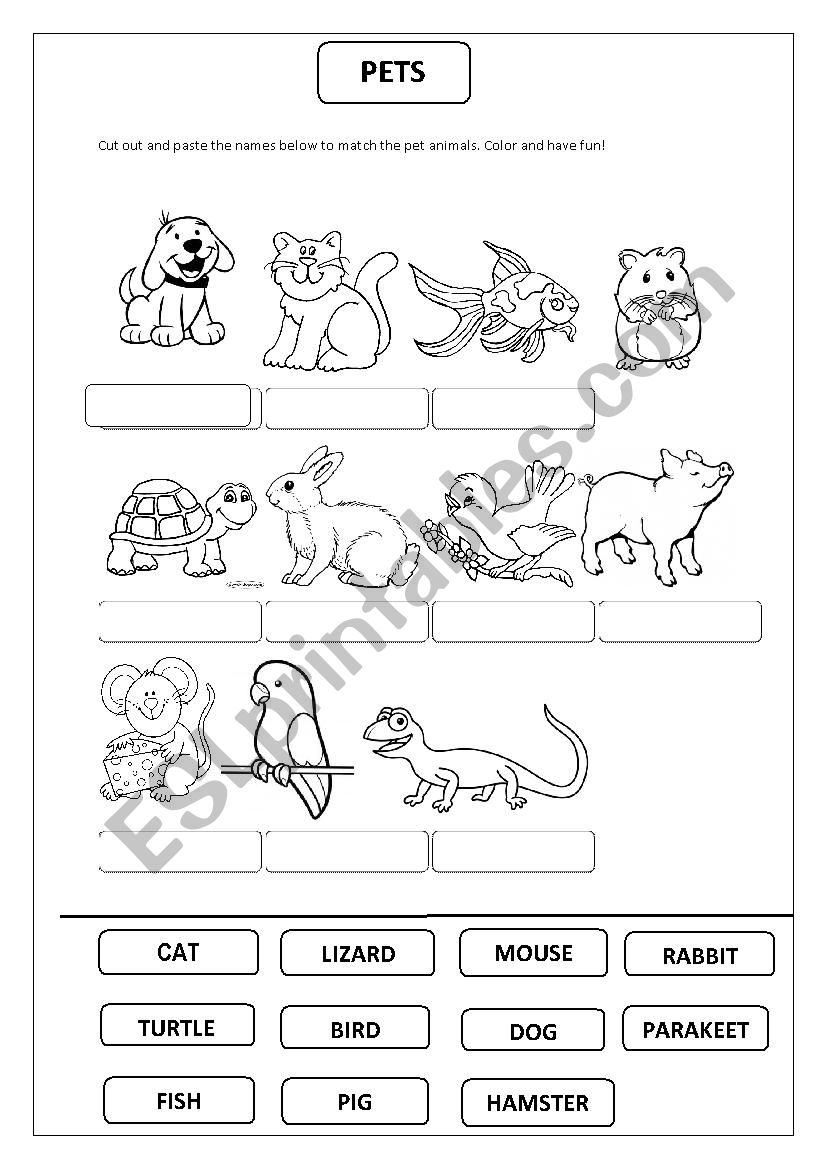 Pet animals worksheet