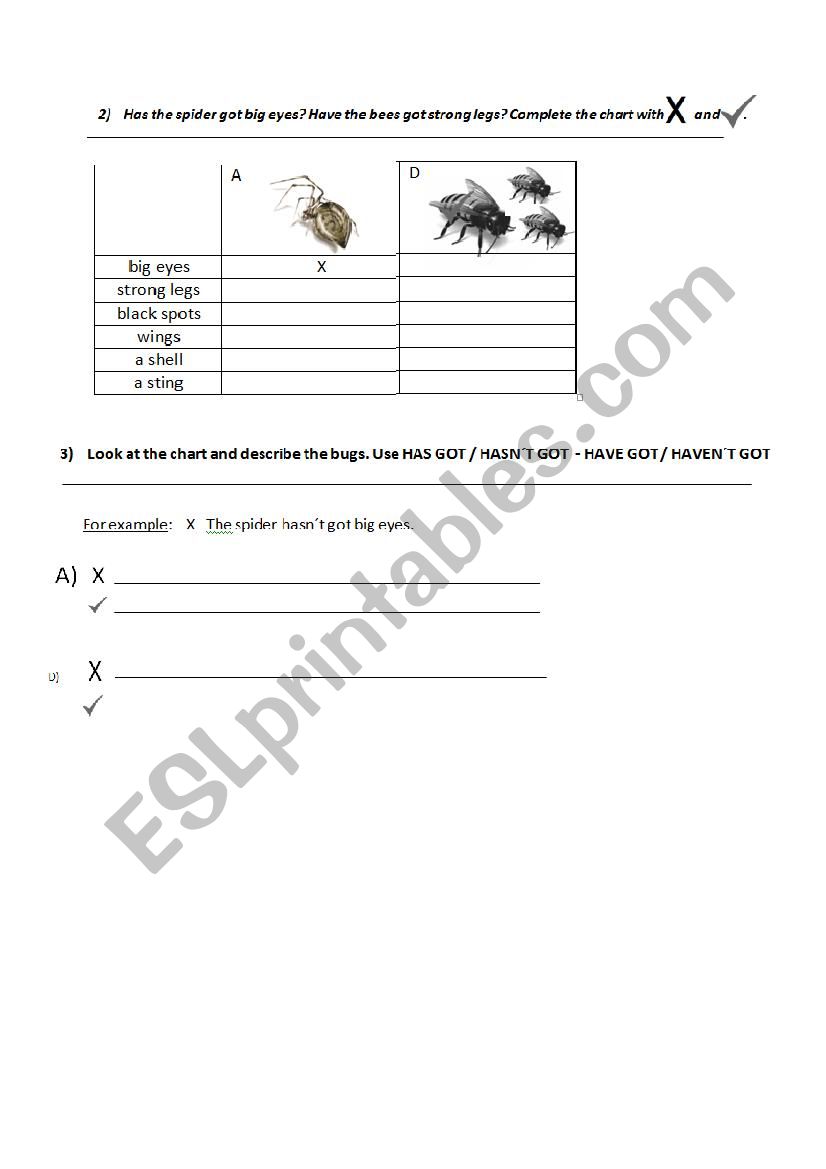 BUGS - HAS GOT worksheet