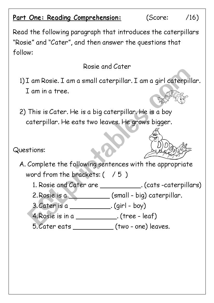 reading comprehension worksheet