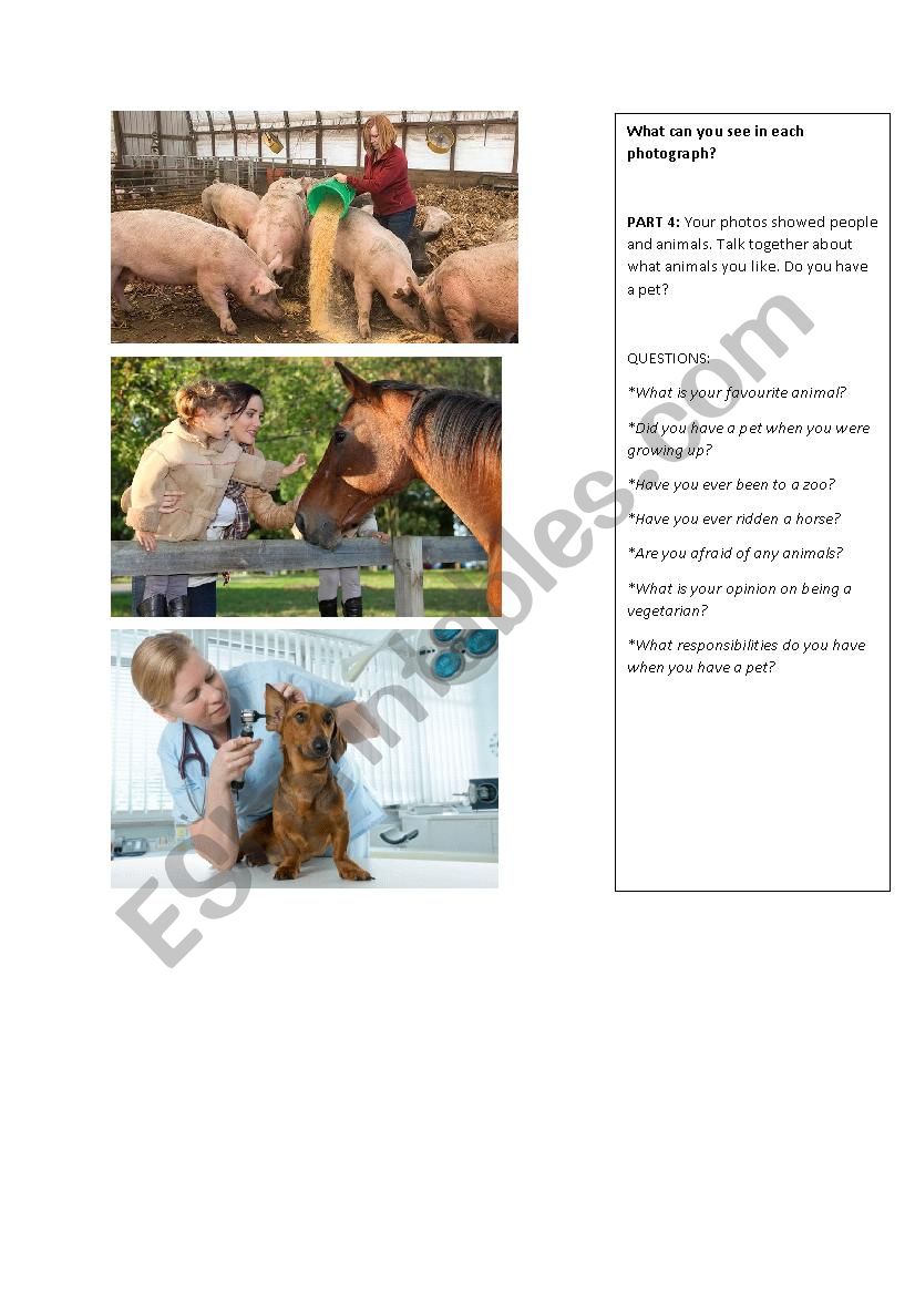 PET visual ANIMALS and PETS worksheet