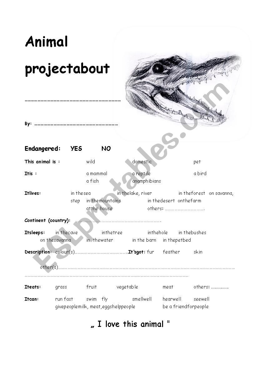 Crocodille project worksheet
