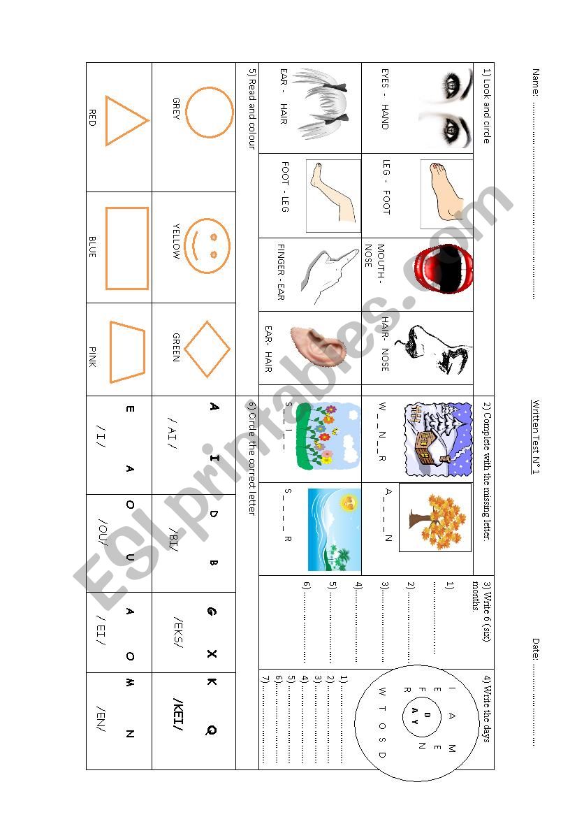 TEST for elementary students 3