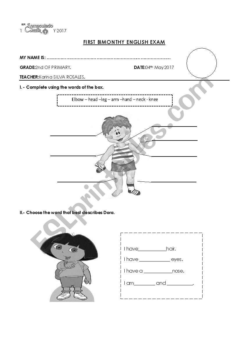 parts of the body  worksheet