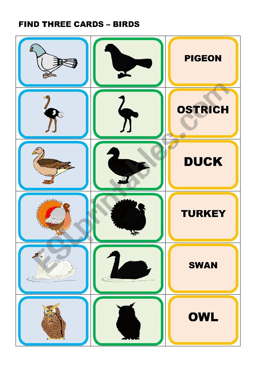 ANIMALS  - BIRDS worksheet