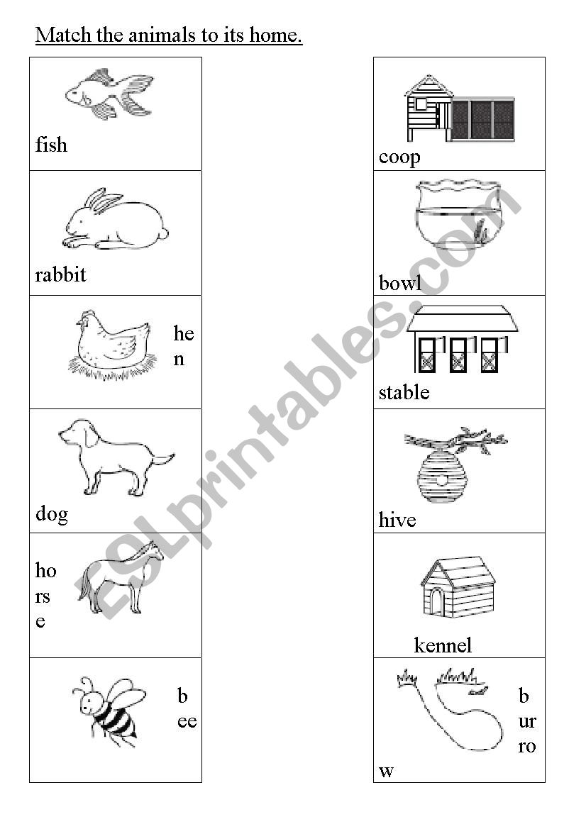Match the animals to its home. - ESL worksheet by melwin
