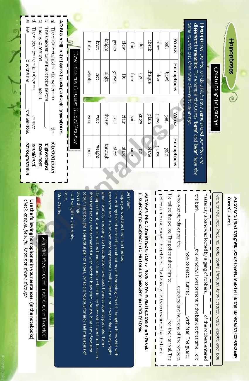 Homophones worksheet