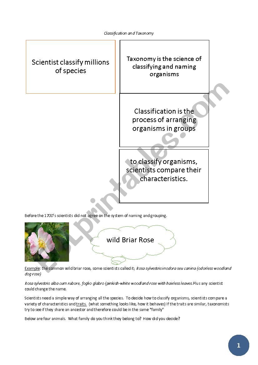 CLIL scienze - Taxonomy and classification