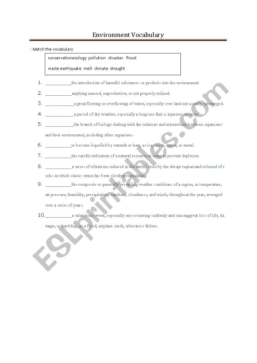 Environment  worksheet