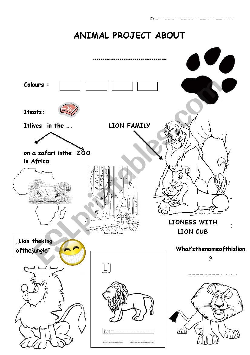 Project about lion worksheet