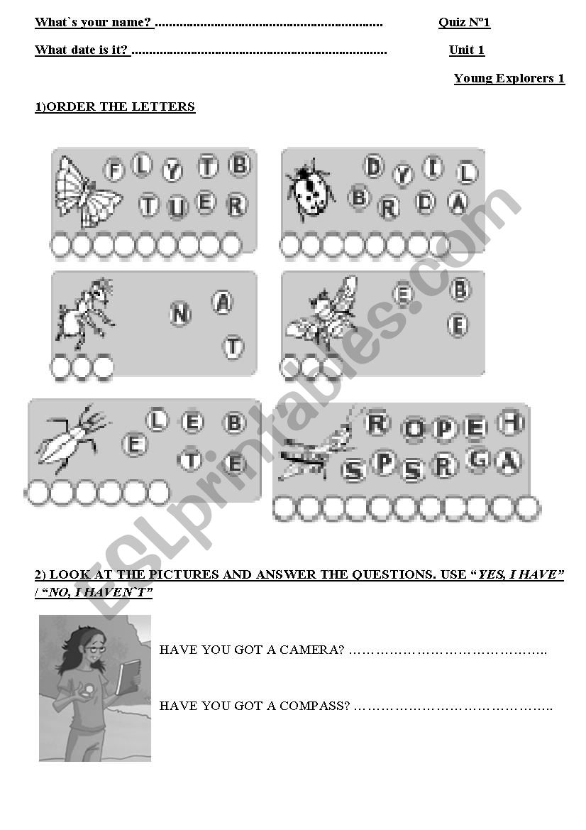 quiz  worksheet