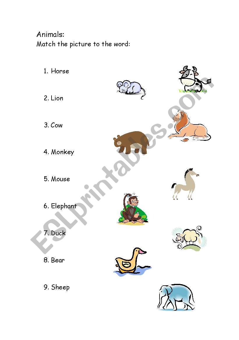 animal matching worksheet