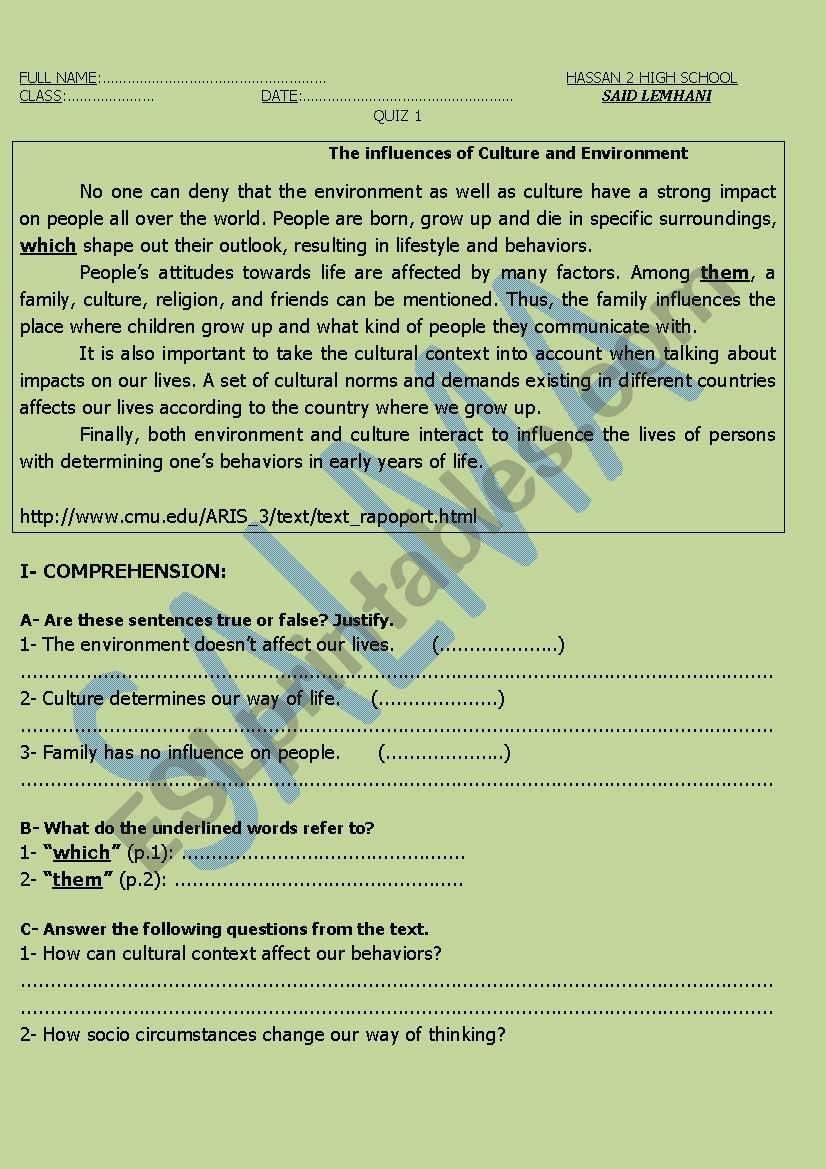 CULTURE AND ENVIRONMENT worksheet