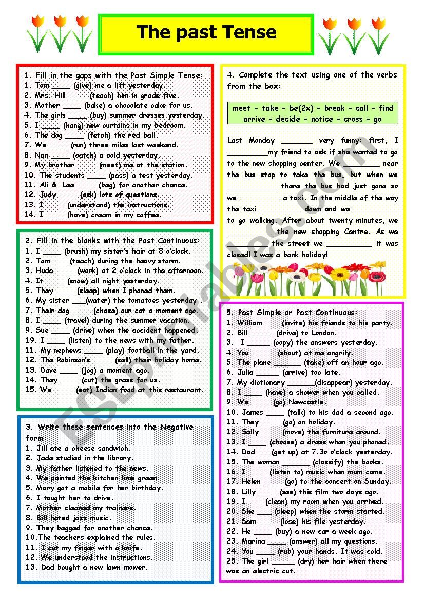 Simple Past & Past Continuous worksheet