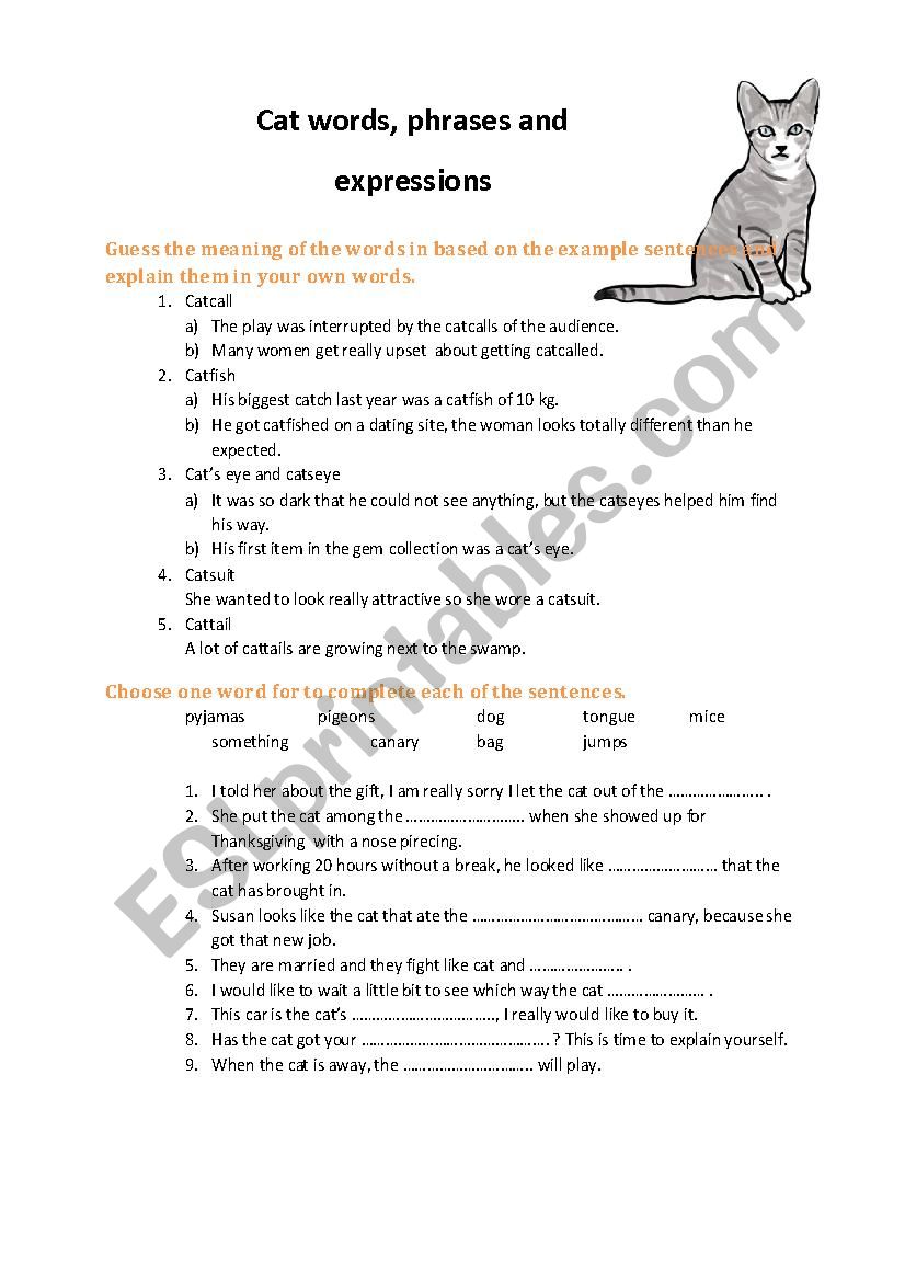 Cat expressions worksheet