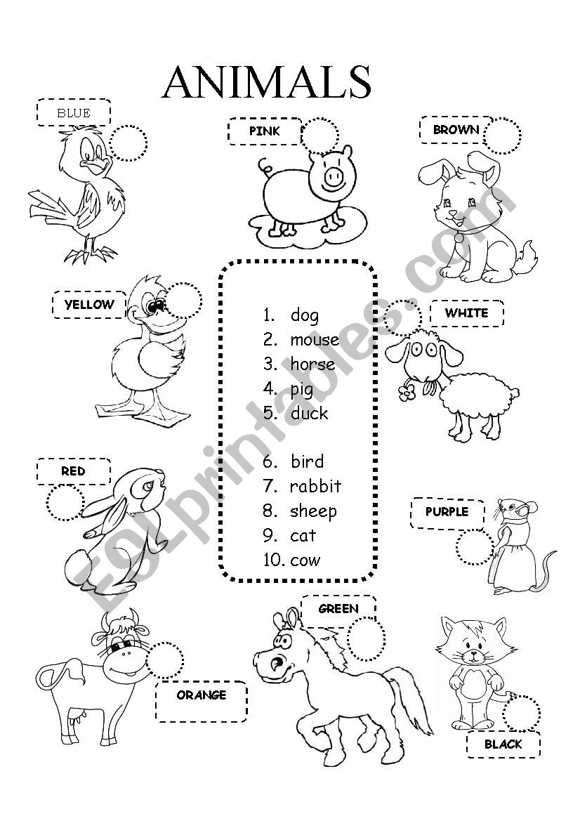 Farm animals worksheet