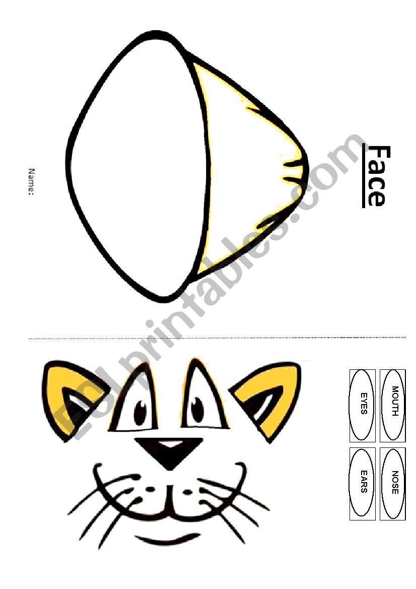 Face  worksheet