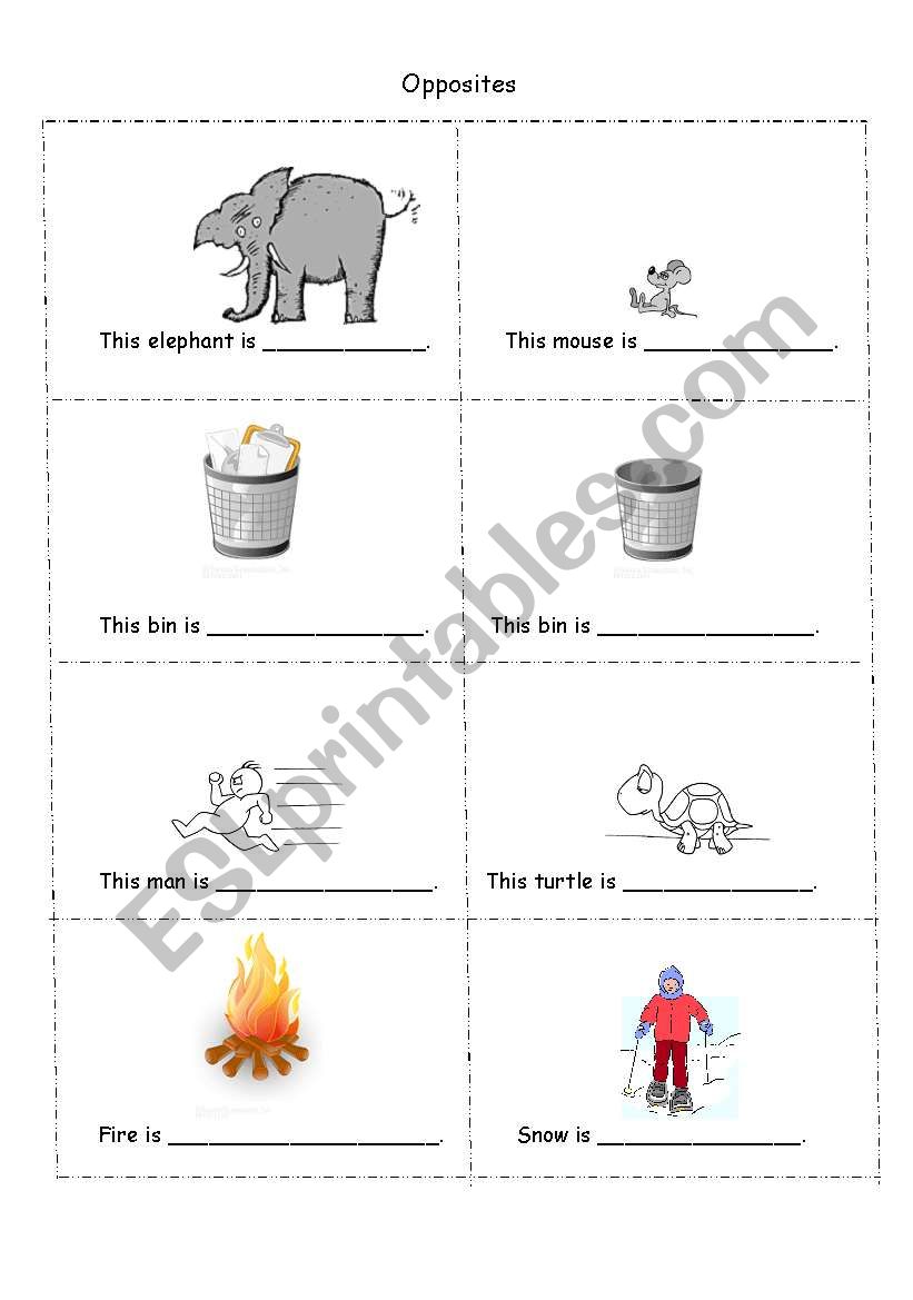 Opposites worksheet