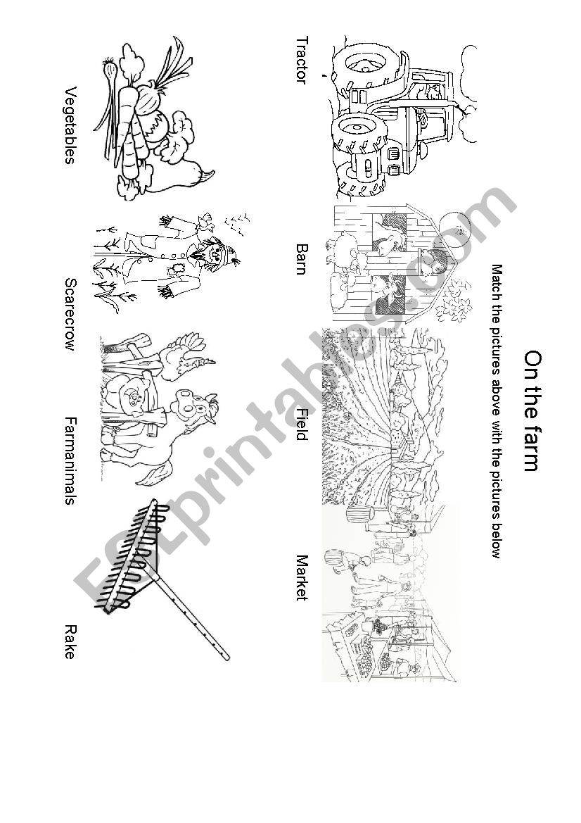 On the farm worksheet