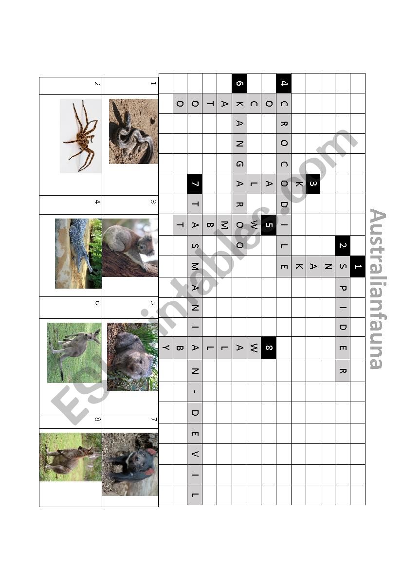 Australian Fauna worksheet