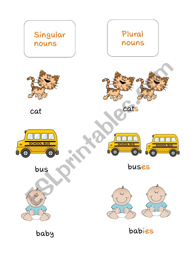 singular nouns and plural nouns