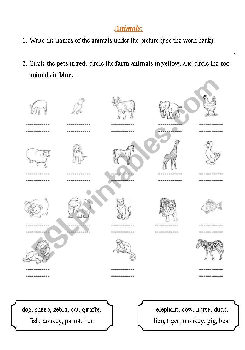 Animals - fill in the animal name