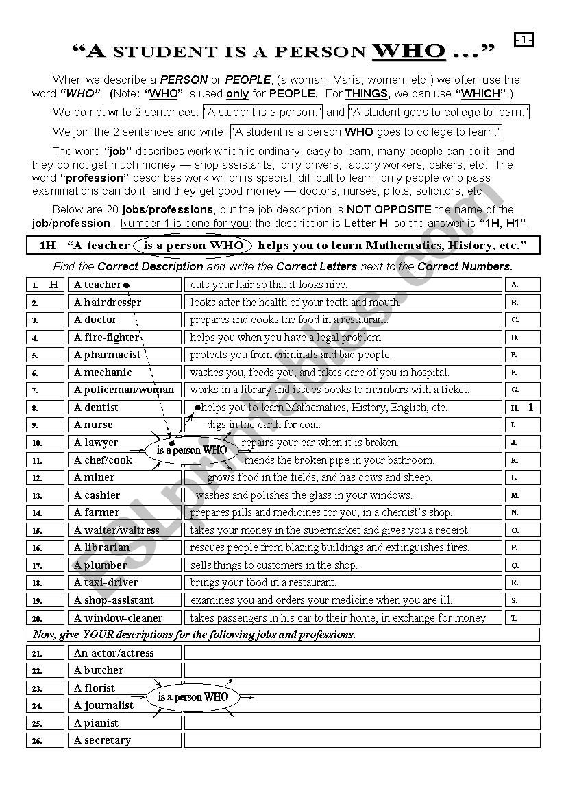 GRAMMAR 010 Who and Which Quiz