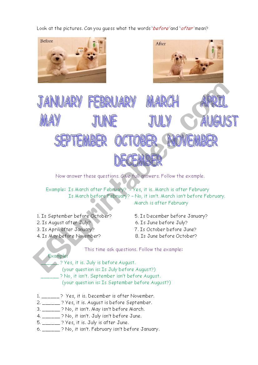 Months and To be questions worksheet