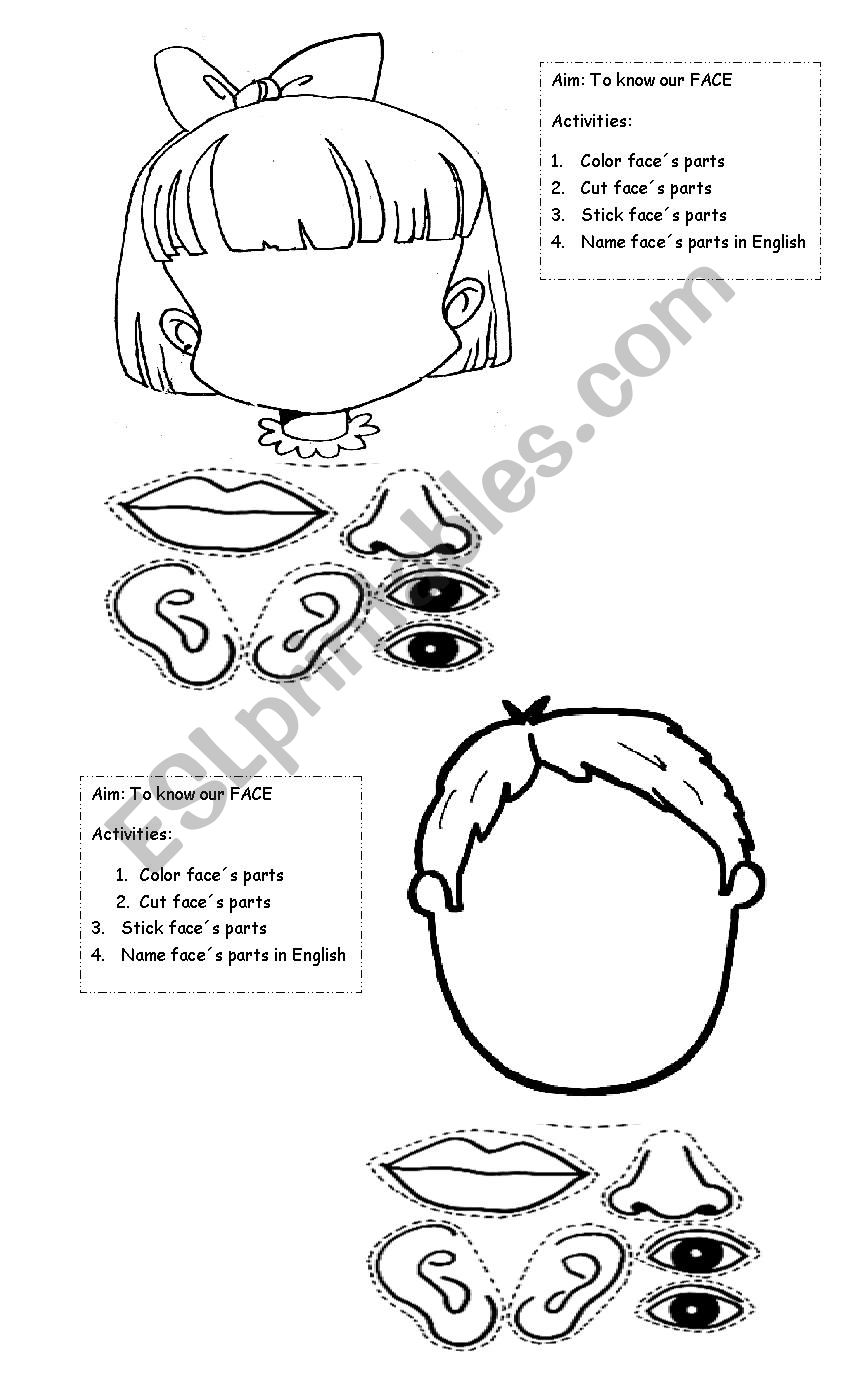 My face worksheet