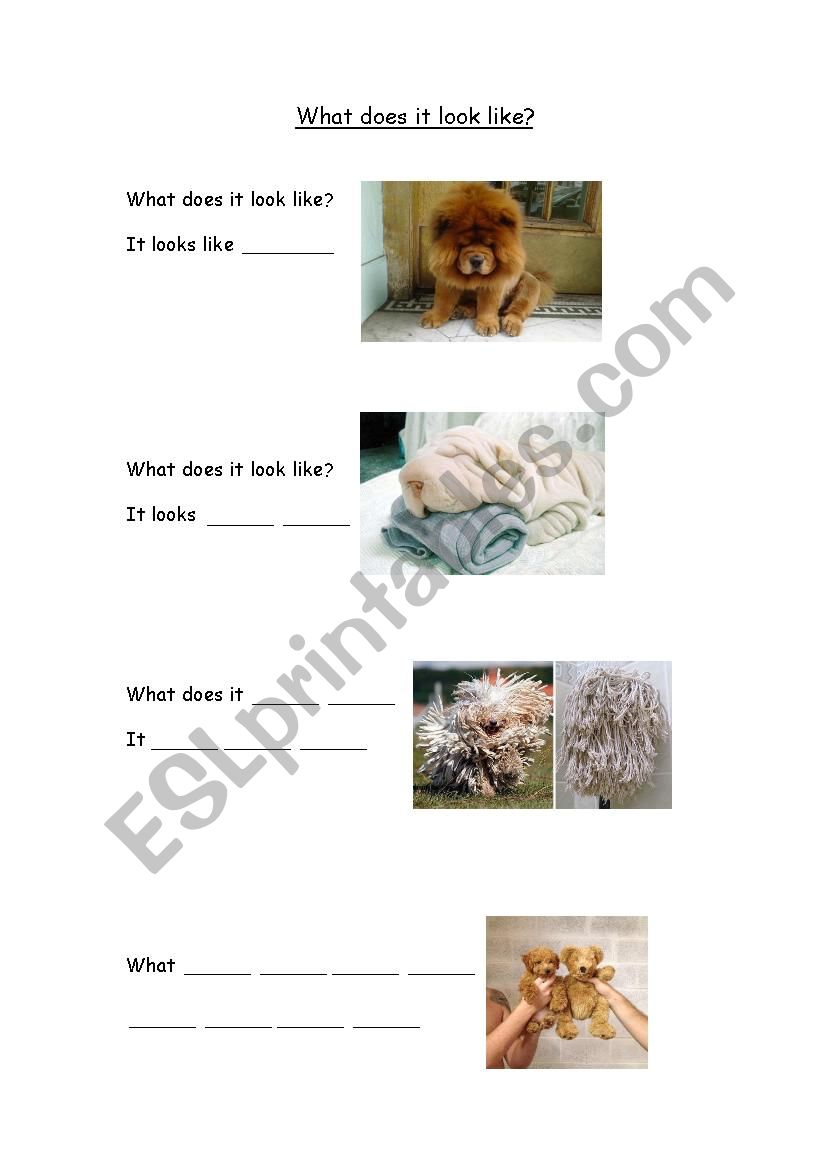 what does it look like worksheet