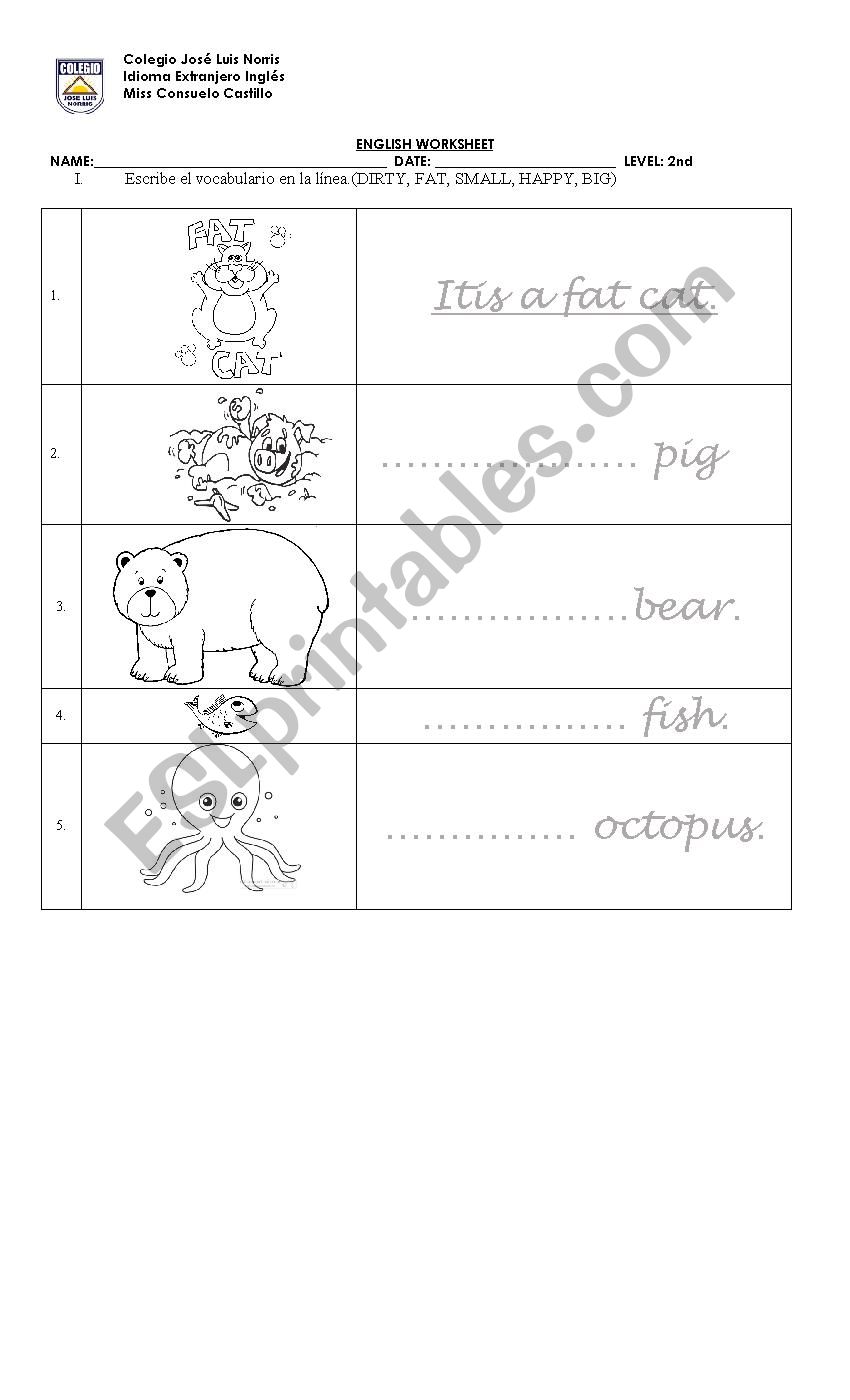 wild animals worksheet