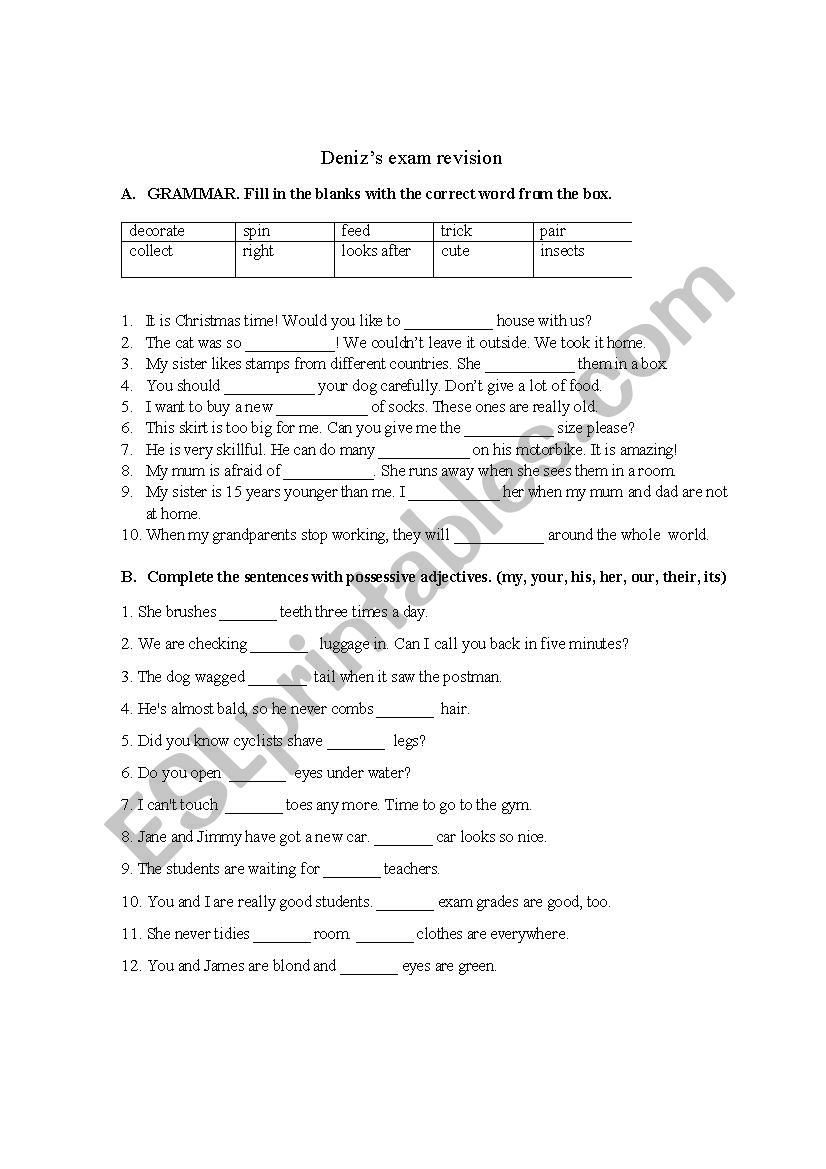 4th grade exam revision worksheet