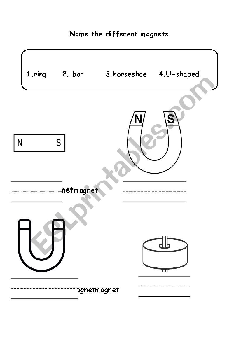 fields-and-poles-magnets-worksheet-by-teach-simple