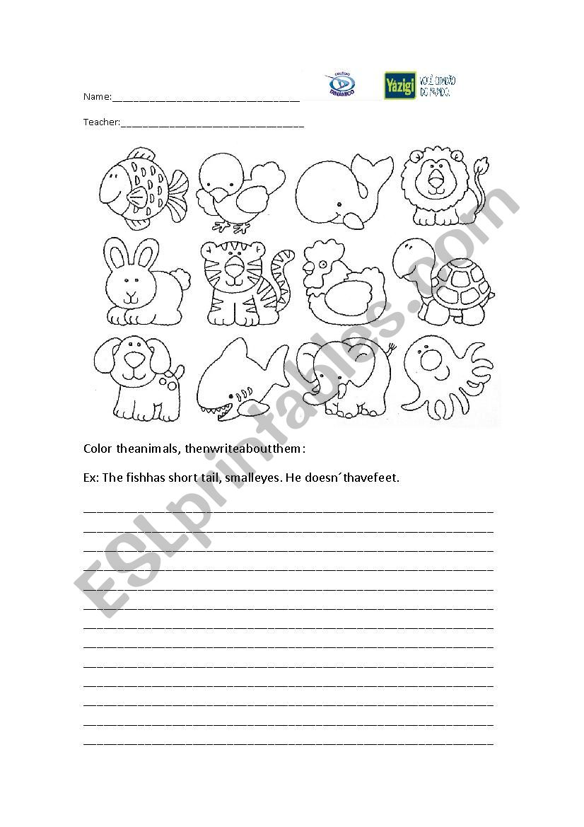 Animals worksheet