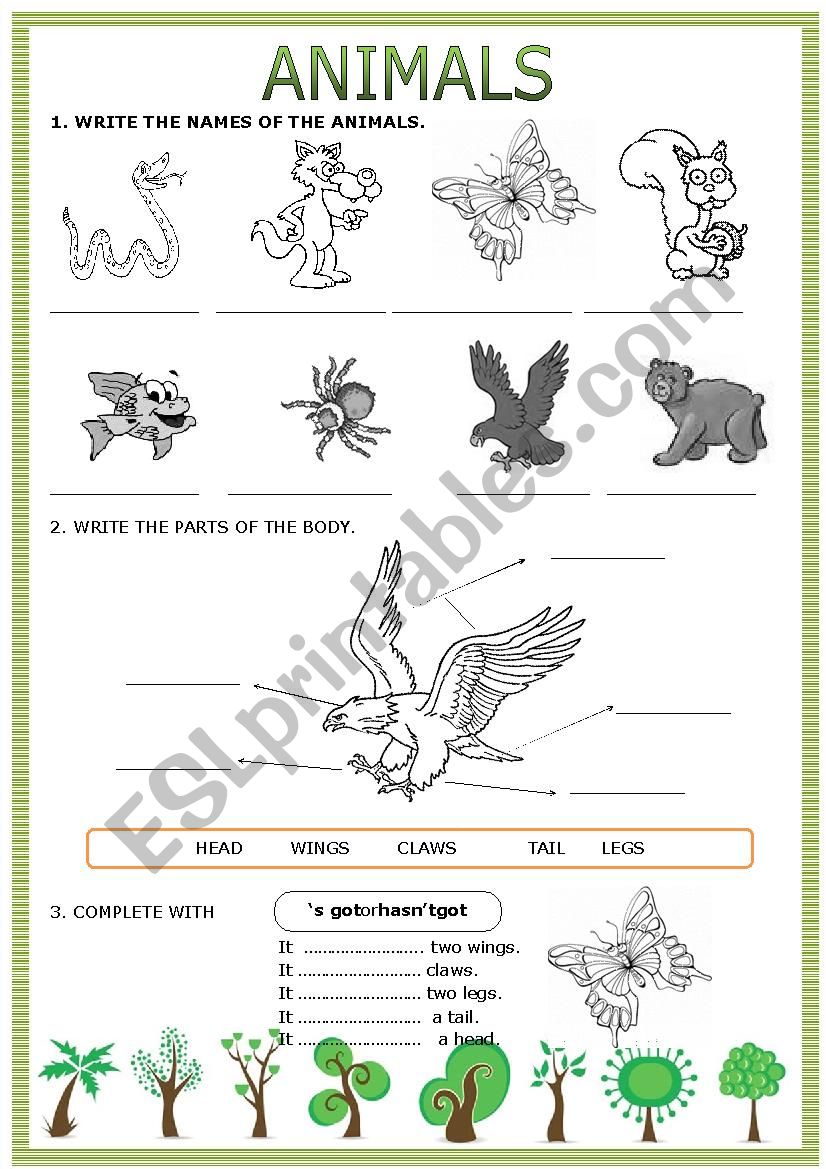 Animals worksheet