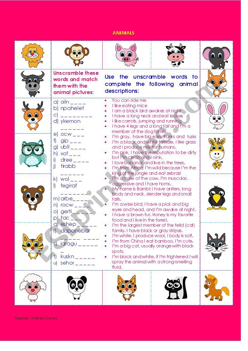 ANIMAL DESCRIPTIONS worksheet