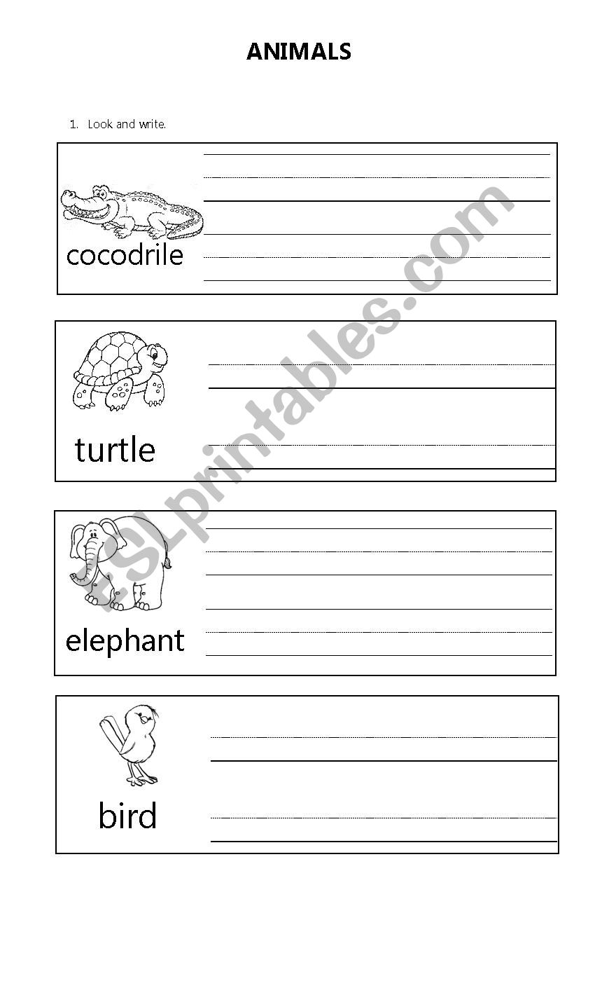 Wild Animals worksheet