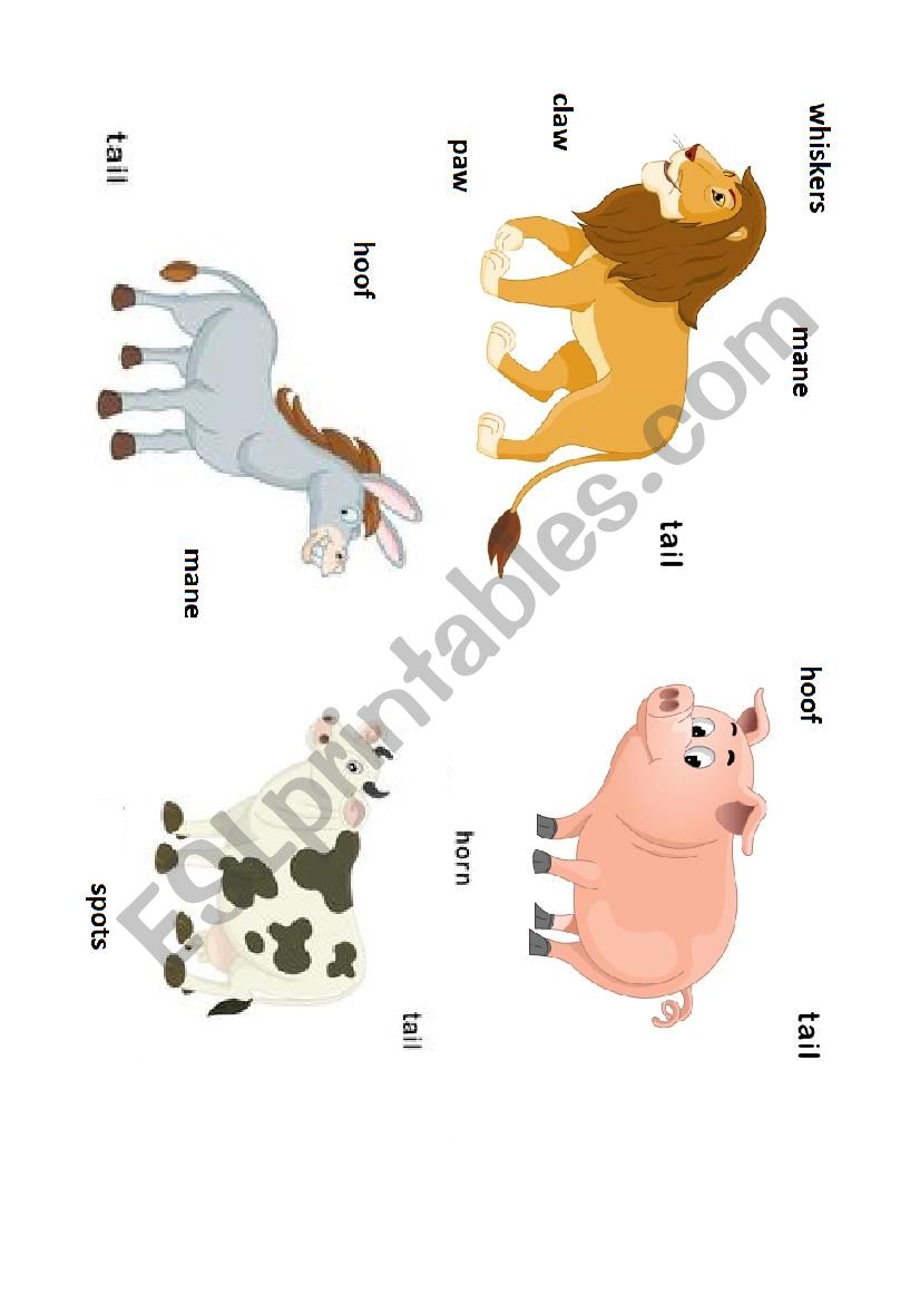 Animal body parts worksheet